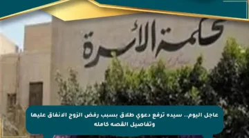 عاجل اليوم.. سيدة ترفع دعوى طلاق بسبب رفض الزوج الإنفاق عليها وتفاصيل القصة كاملة